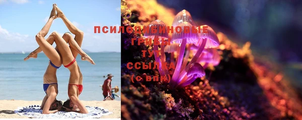 a pvp Строитель