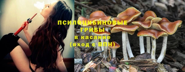 a pvp Строитель