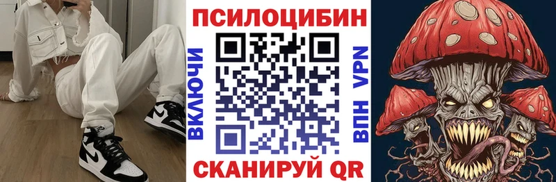 Псилоцибиновые грибы GOLDEN TEACHER  Купить закладки  Жиздра 